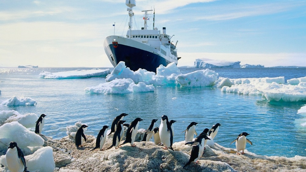 Antarktika cruise