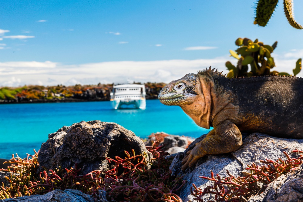 Galápagos Adaları