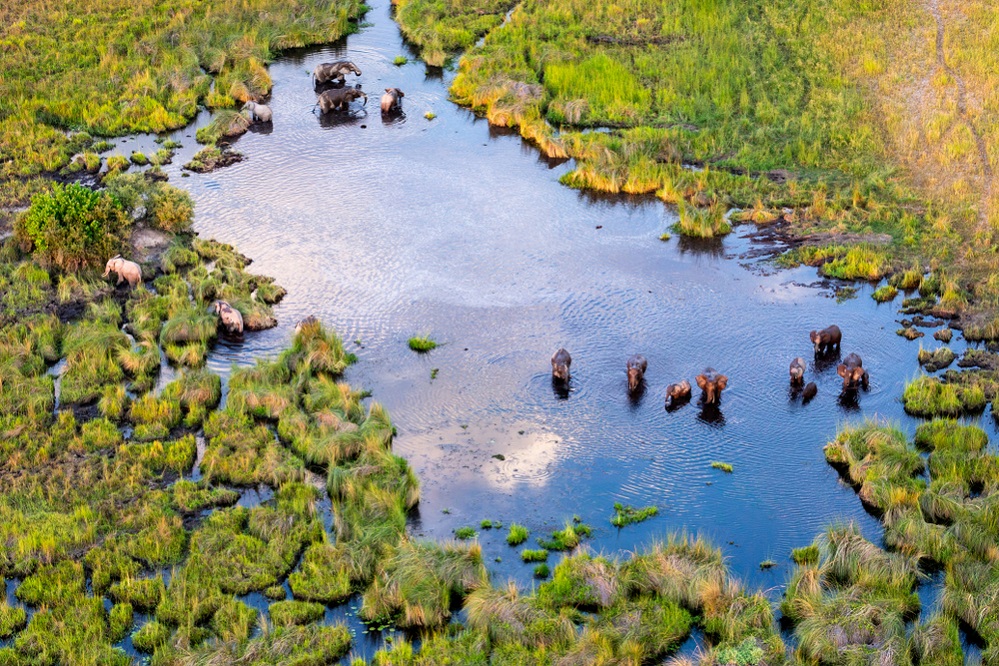 Okavango Deltası, Botswana